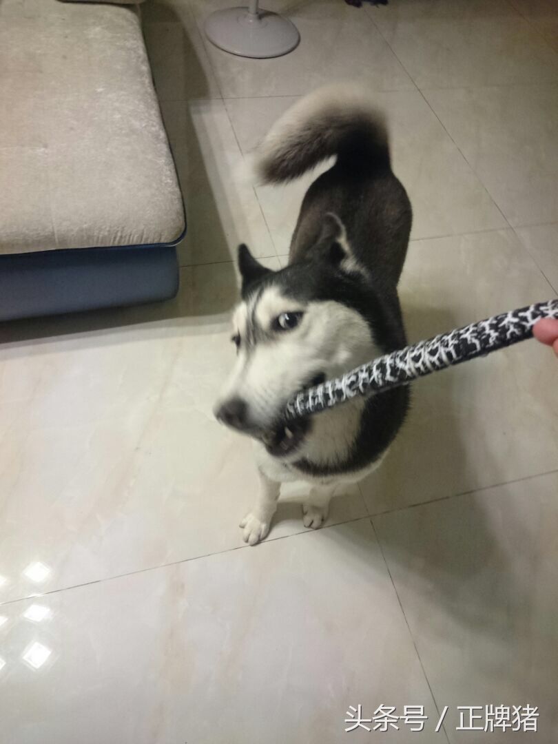 谈恋爱期间女朋友生日送什么礼物,女朋友生日礼物送给她什么好