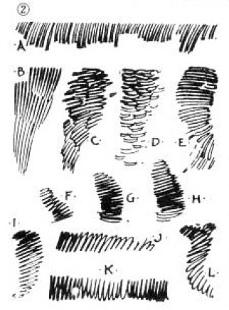 绘画基础教程新手入门,绘画基础教程人物小狗