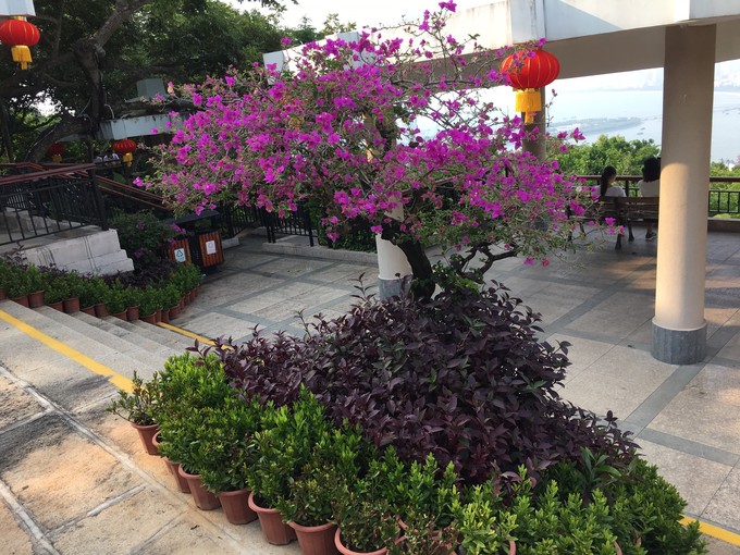 三亚自由行合集,闺蜜游记三亚自由行