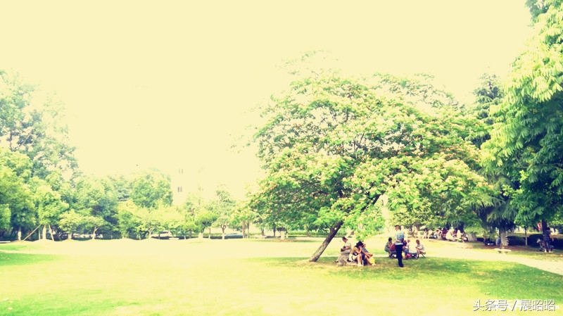 合肥中科大附属中学在哪,合肥中科大附属中学是公立学校吗