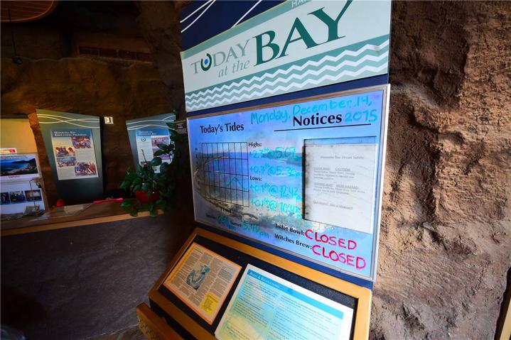 骨灰级探险视频,水上运动场夏威夷maui岛浮潜