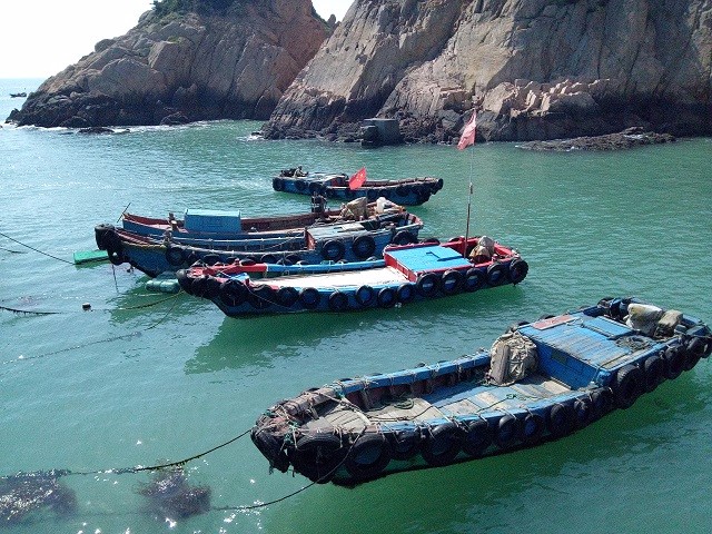 什么时间去枸杞岛最好,冬季坐船去枸杞岛