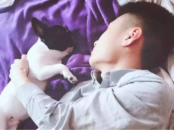 狗狗不懂离别这种复杂的情感,狗狗怎么理解死亡