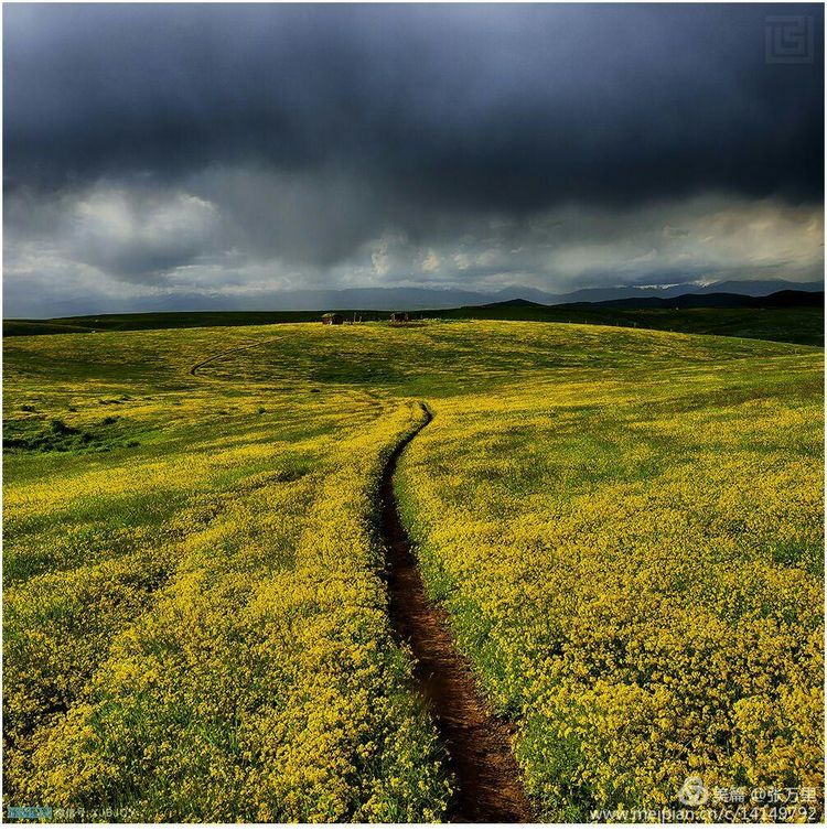 美丽*疆新**100张——美在雪山，美在草原，美在戈壁，美在心灵！