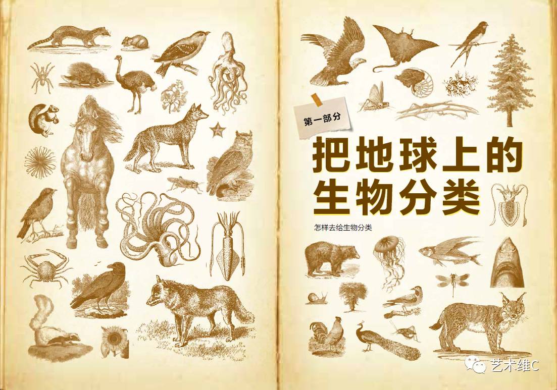 大英博物馆柜子,大英博物馆家具是什么