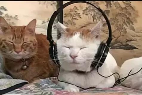 职场表情包朋友圈,职场表情包套装