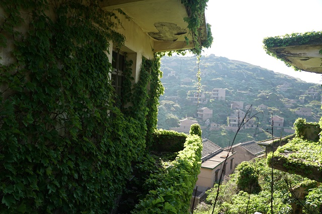 什么时间去枸杞岛最好,冬季坐船去枸杞岛
