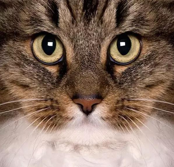 职场表情包朋友圈,职场表情包套装