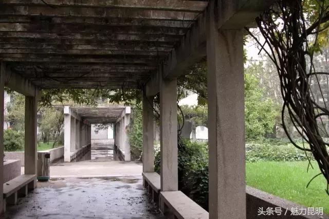 昆十四中老照片,昆十四中