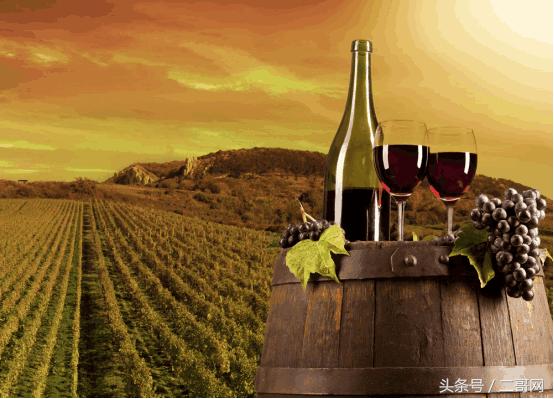 吃葡萄籽到底能不能美白,葡萄籽能美白皮肤吗