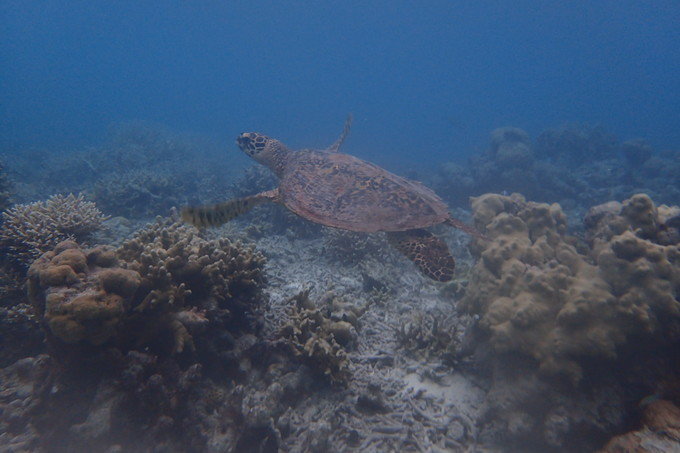 带着思念去海边,带着思念期待下一次再见