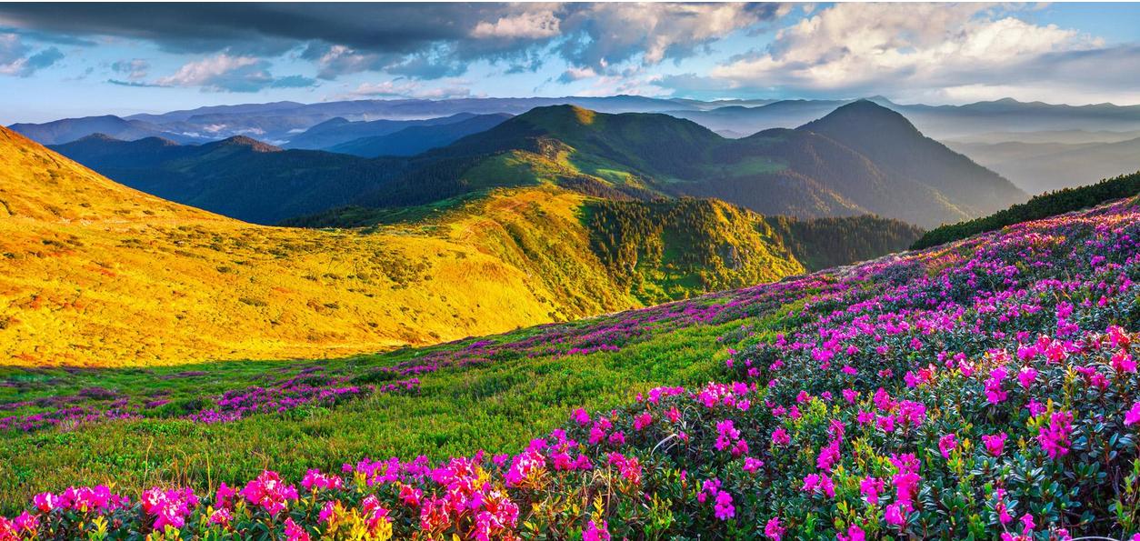 如何做一张海报步骤,怎么做一张海报ps