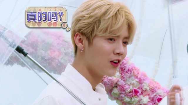 乔欣花式夸鹿晗跳舞,当乔欣见到鹿晗