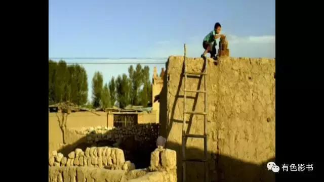 你个*日的狗**,居然想活埋你爷爷?