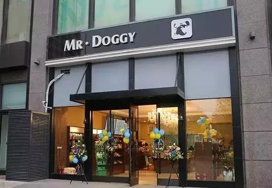 活得不如狗系列之，宠物酒店！