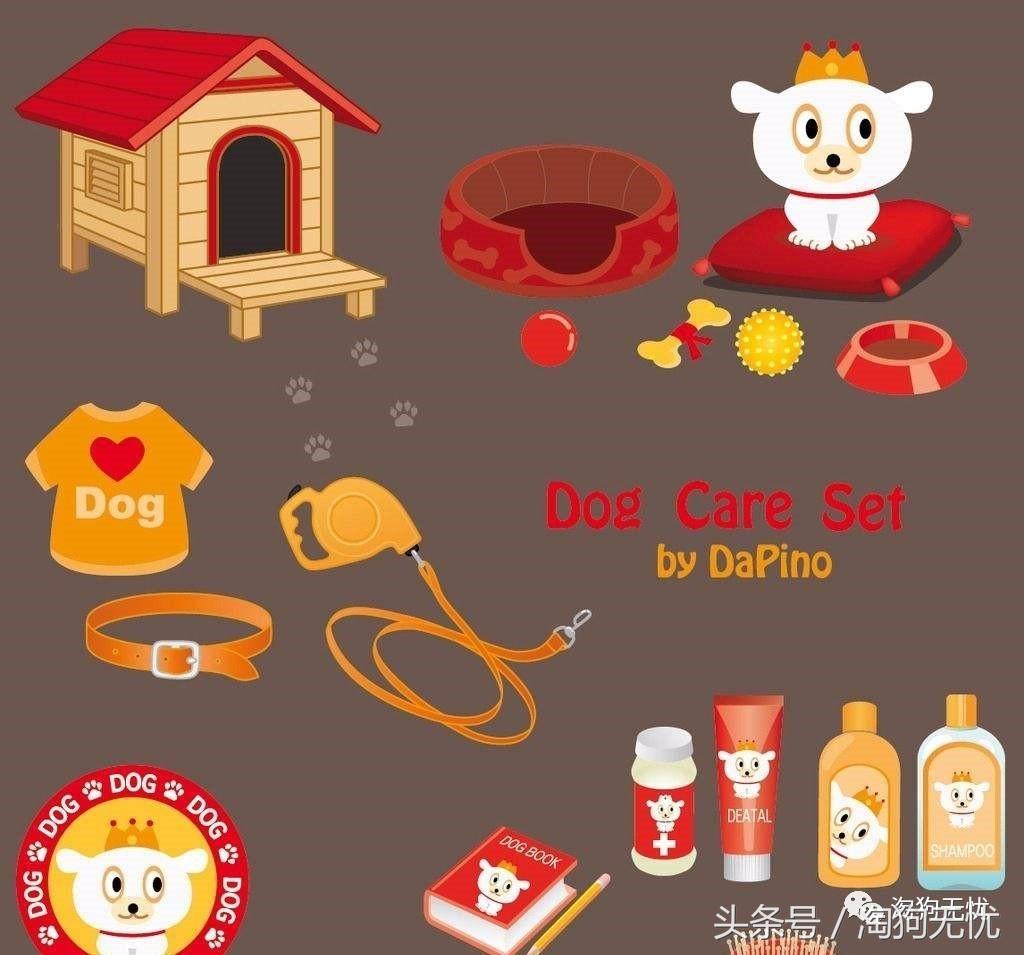 养狗前要学会的八件事,新手养狗怎么给狗狗养成习惯