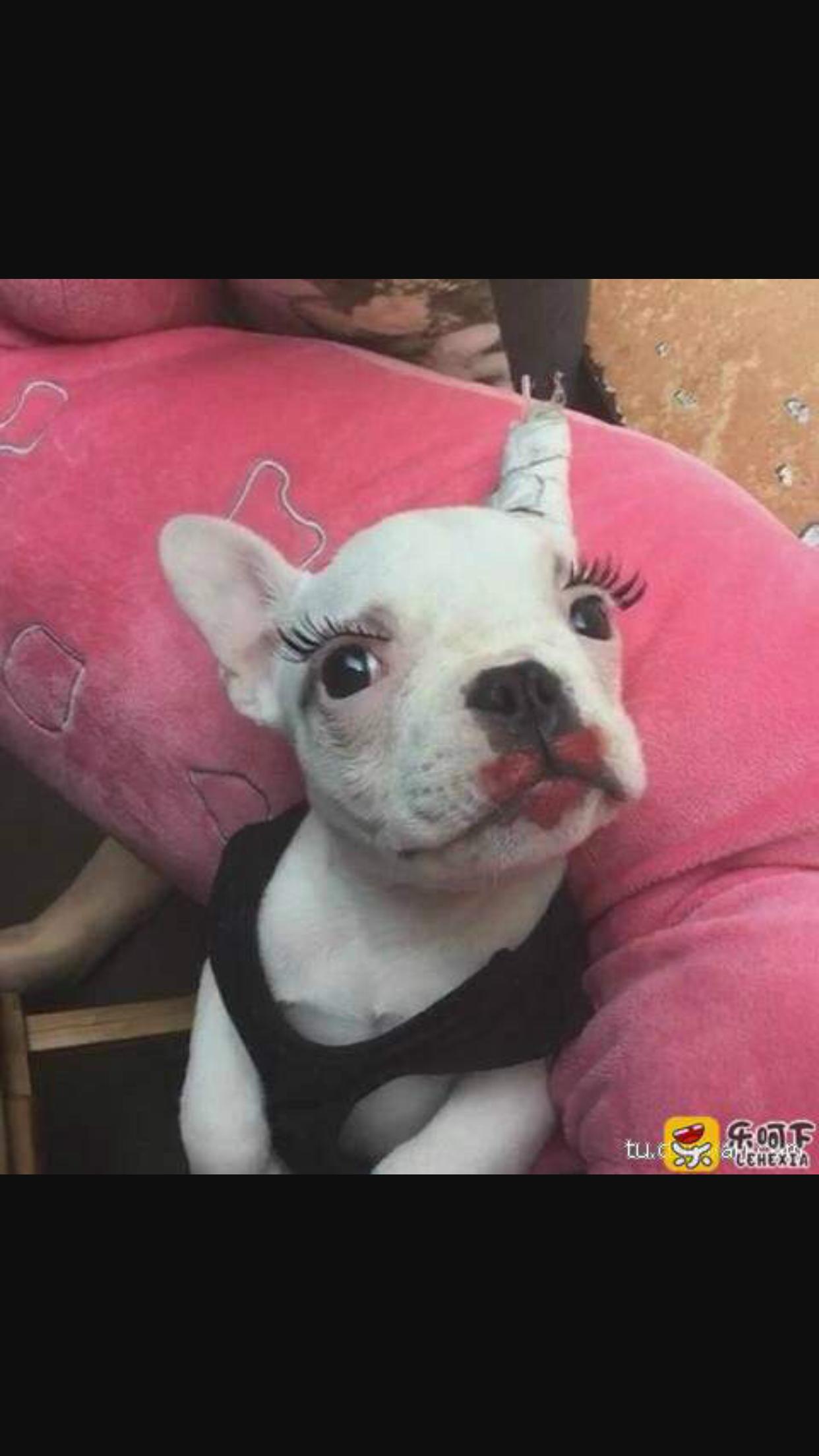 我带你去一个地方男生版,我带你去一个地方是什么意思