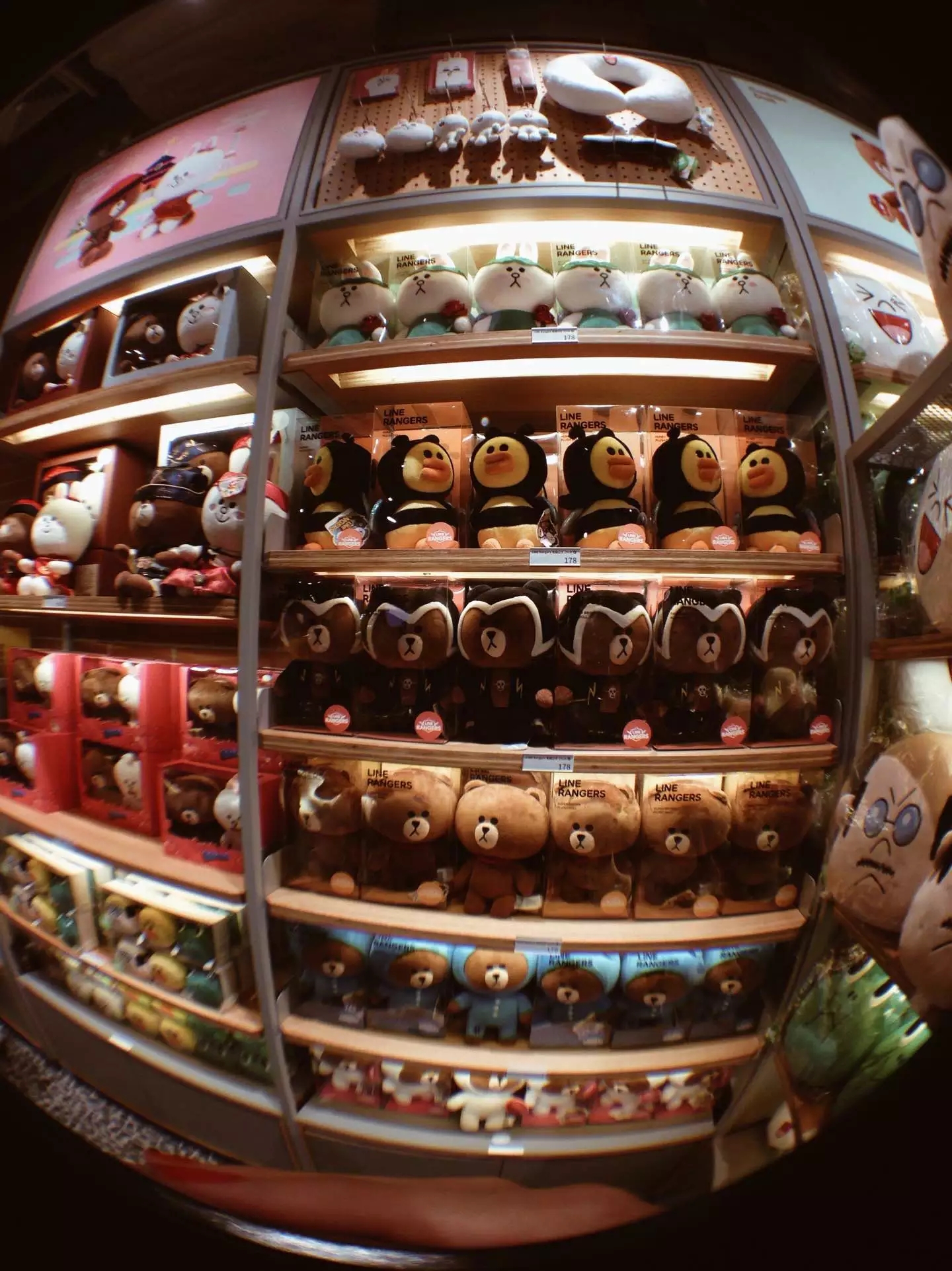 喜欢布朗熊可妮兔的你快看过来！