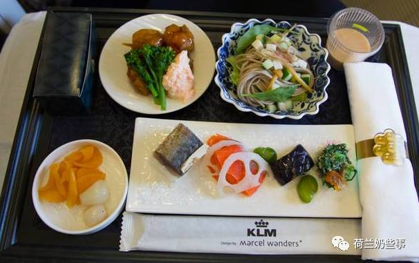 荷兰国王,荷兰国王副业开飞机