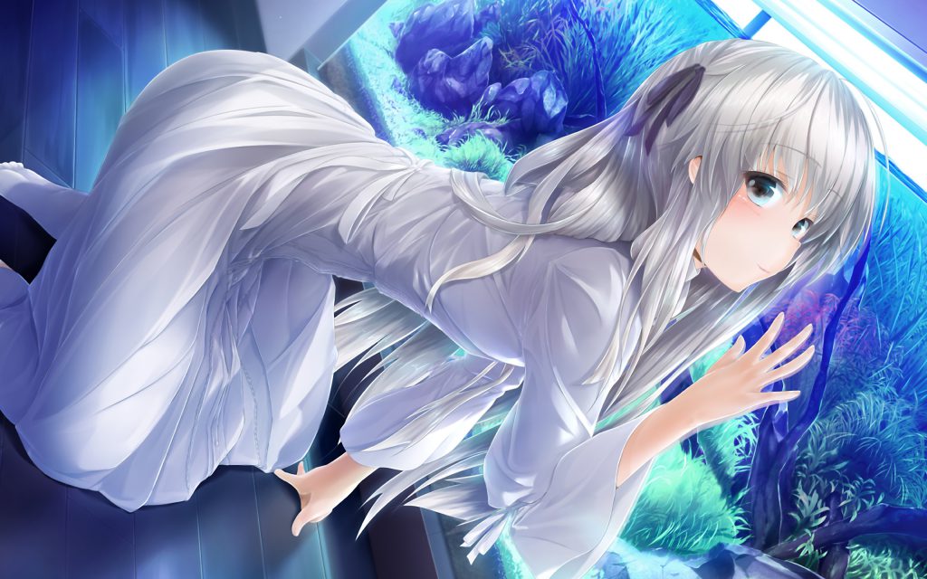 可爱即是正义—献给卡哇伊的萌妹们（欧尼酱们禁入）