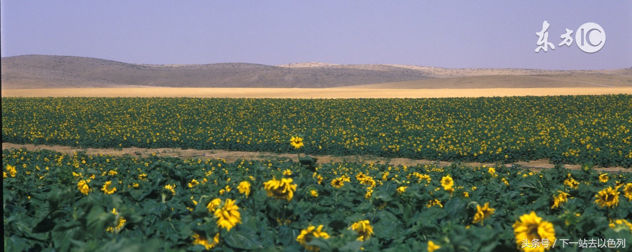 以色列发明新生儿内八字脚矫正器，每年能赚上亿美元