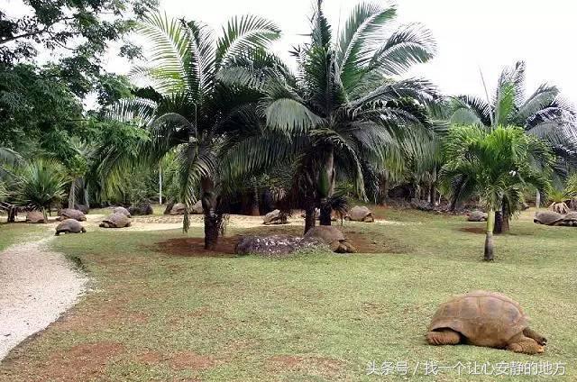 怎样玩遍毛里求斯,到了毛里求斯要怎么玩