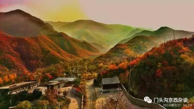 不服不行想办法,不服不行乐视