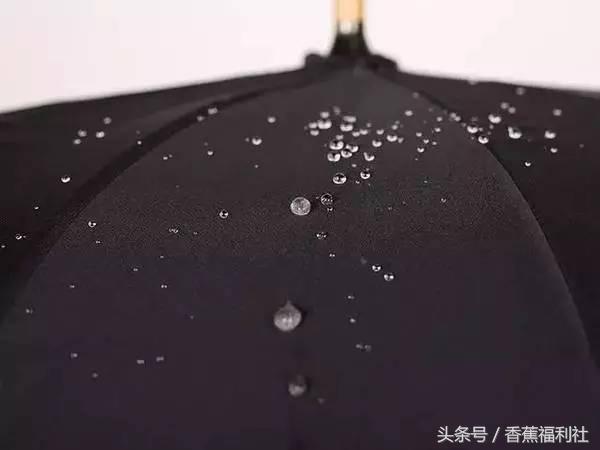 连雨伞都如此有身段,下雨天不带它们出门都说不过去!