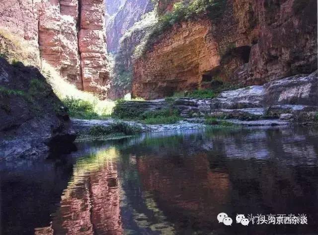 不服不行想办法,不服不行乐视