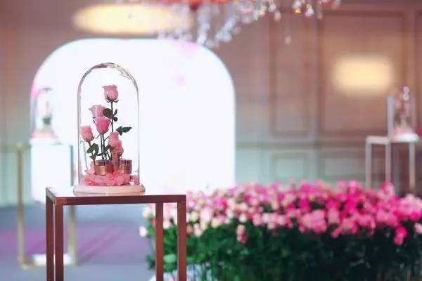 兰蔻历史品牌故事,兰蔻菁纯品牌故事