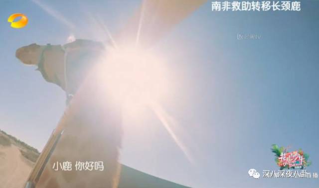 陈柏霖颜值花儿与少年,陈柏霖个人简介