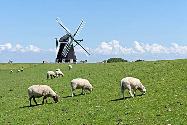 德国奶粉排行榜10强奶粉测评,德国原装进口奶粉品牌排行榜