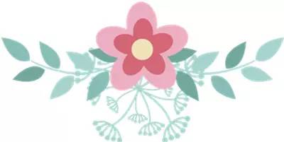 都是小全张，还有这么多不一样……