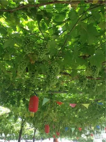 长兴一不小心,湖州长兴成了“中国最美休闲胜地”!