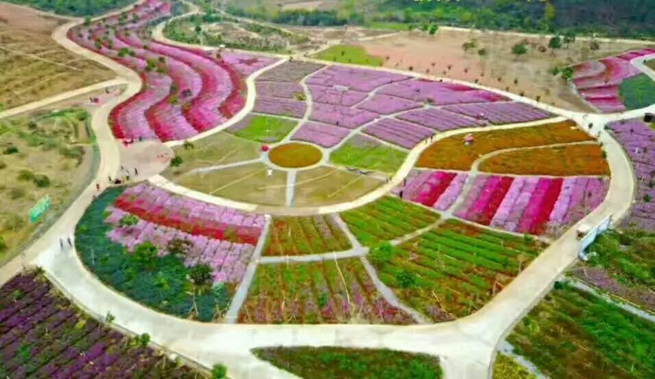 南宁小长假推荐去哪里旅游,南宁周末去哪里旅游最好