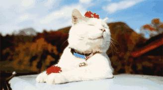 乐高系列最好玩的玩具,乐高有哪些经典玩具呢