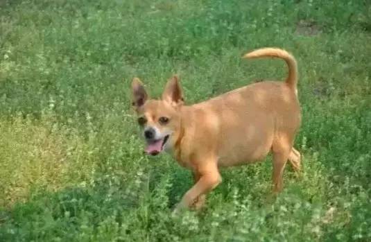 小五直播间故事汇,小五讲故事直播间