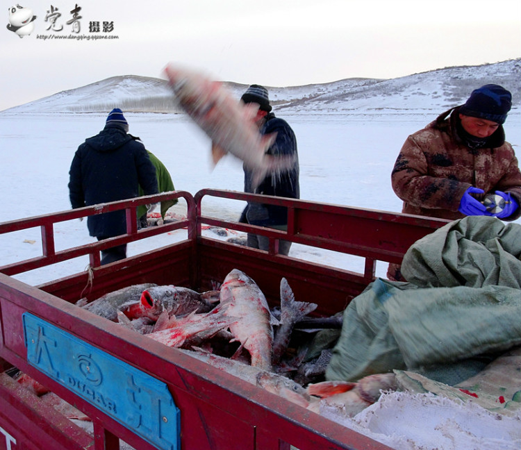 一个人眼中的成都,一个成都人眼中的四川