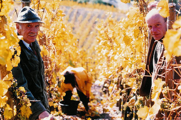世界最贵甜白葡萄酒,德国十大最贵红酒