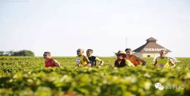 有了这些超美装备,你也能成跑圈女神!