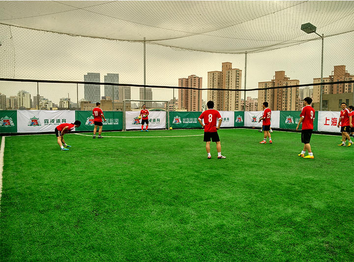 上海哪里有足球场草坪,上海足球场草坪哪家好