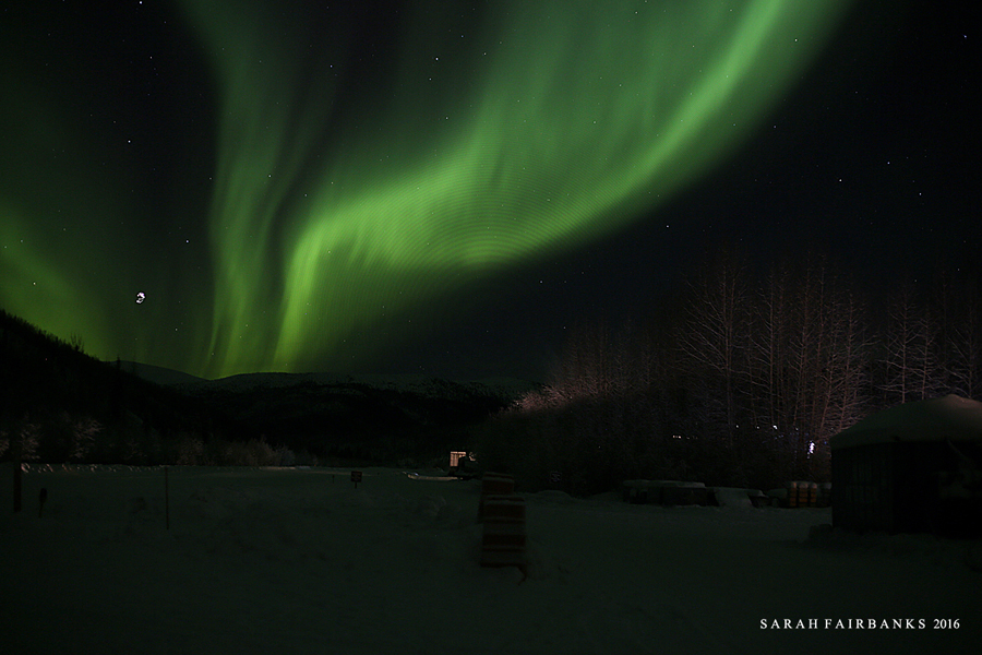 为了这束光，我们一路向北追逐而至...