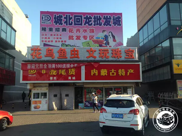 北京回龙观花鸟鱼虫,昌平回龙观附近的花鸟鱼虫市场