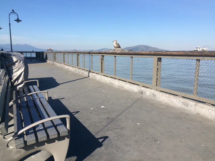 没去过美国的真实感受,去过美国以后才知道的事