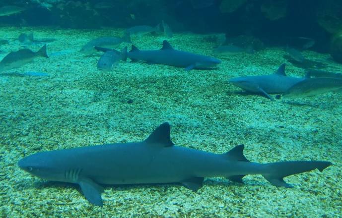 河北带孩子去最好玩的游乐场,河北最大的儿童室内游乐场