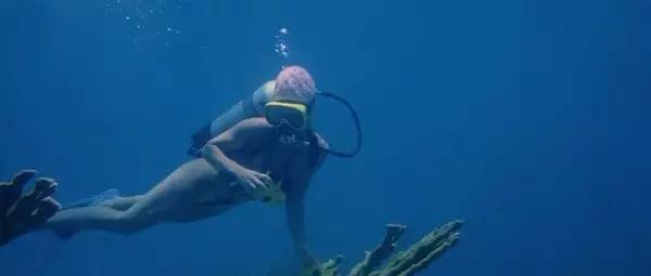 加勒比海盗骷髅鲨鱼完整版,加勒比海盗5中的亡灵鲨鱼