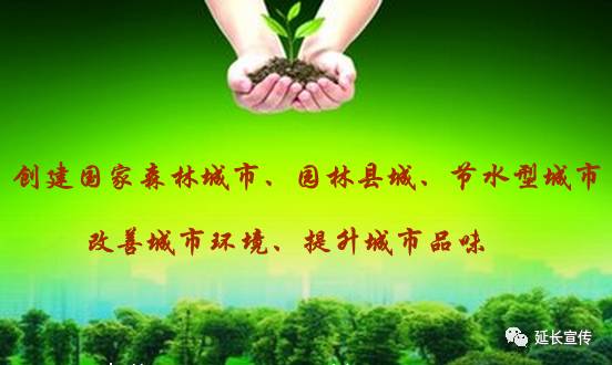 「文体艺苑」科学家首次在琥珀中发现雏鸟标本