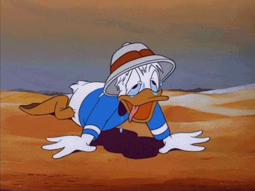 佩戴隐形眼镜日常小知识,隐形眼镜注意事项及佩戴方法