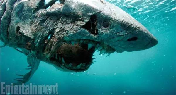 加勒比海盗骷髅鲨鱼完整版,加勒比海盗5中的亡灵鲨鱼