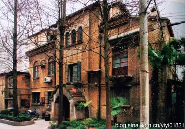 上海四条好看的马路,上海最美一条街